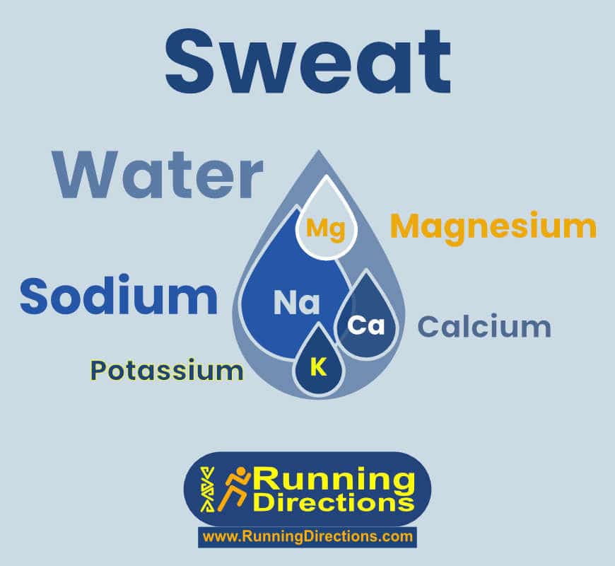 What is in your sweat?
