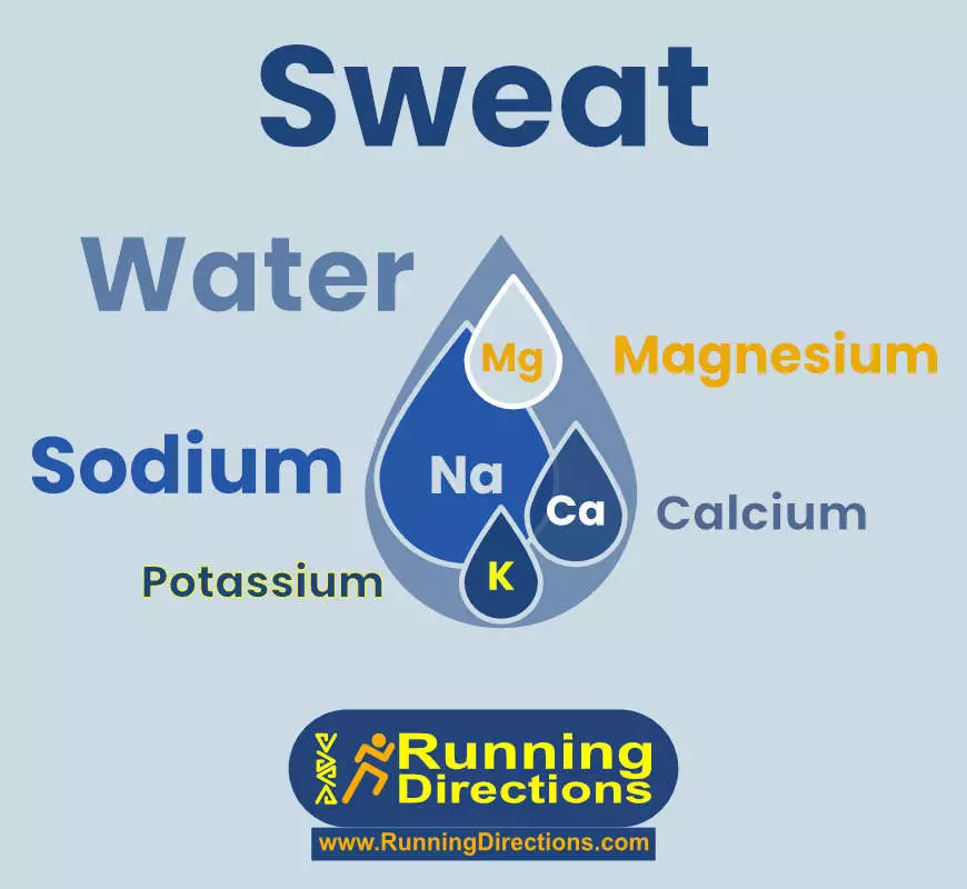 What is in your sweat?